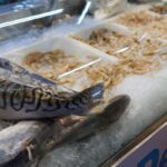vigilancia-sanitaria-orienta-sobre-compra-de-pescado-na-semana-santa