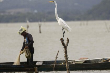 mudancas-aprovadas-para-o-seguro-defeso-previnem-fraudes,-diz-relator
