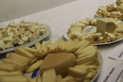 brasil-comeca-a-importar-queijo-mais-barato-apos-acordo-mercosulue