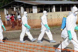 cruz-vermelha-lamenta-mortes-de-voluntarios-no-congo-devido-ao-ebola