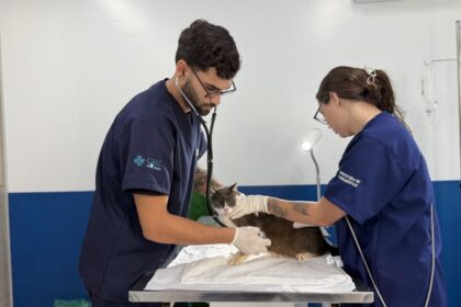 hospital-veterinario-de-florianopolis-ultrapassa-3,4-mil-procedimentos-no-primeiro-mes
