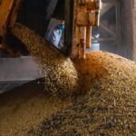 economia-brasileira-cresce-1,1%-no-1o-trimestre
