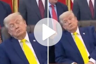 comandante-do-sono:-trump-vira-alvo-de-piadas-apos-dormir-durante-evento-na-casa-branca