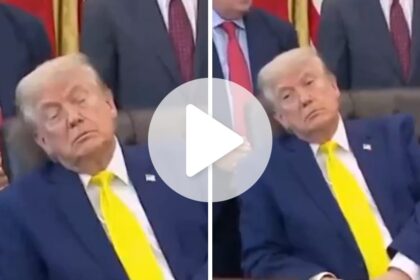 comandante-do-sono:-trump-vira-alvo-de-piadas-apos-dormir-durante-evento-na-casa-branca