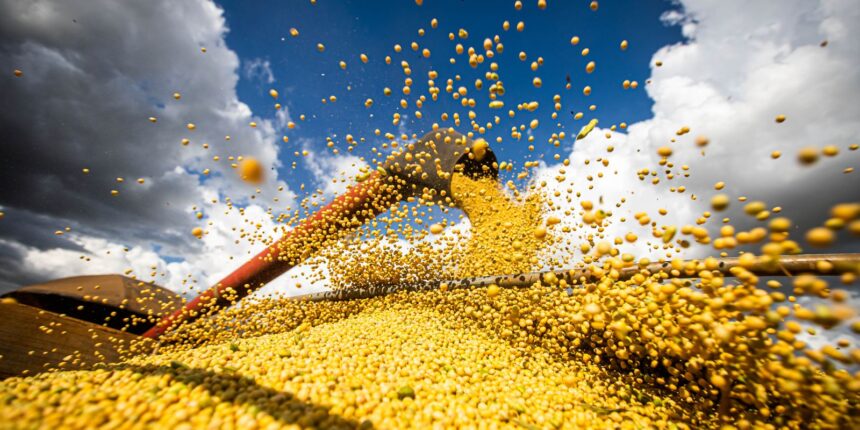 conab:-producao-de-graos-pode-chegar-a-358,6-milhoes-de-toneladas