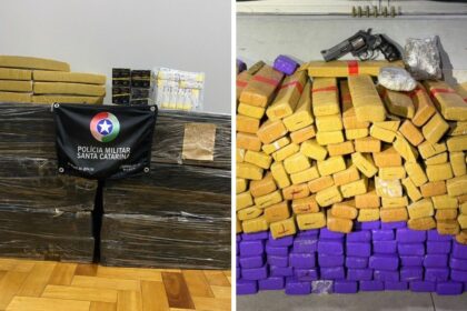 pm-estoura-deposito-e-apreende-mais-de-300-kg-de-maconha-em-sc