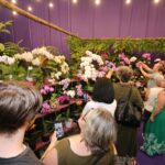 ingressos-para-a-86a-festa-das-flores-de-joinville-ja-estao-a-venda;-confira-valores-e-lotes
