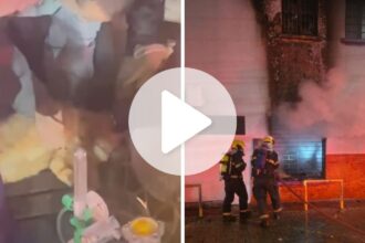 video:-bombeiros-tentam-reanimar-gatinho-em-incendio-em-sc-e-mostram-que-toda-vida-importa