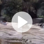 casal-com-duas-criancas-escapa-por-pouco-apos-tentar-atravessar-ponte-submersa-e-carro-ser-arrastado-na-serra-de-sc