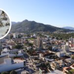 proliferacao-de-moscas-em-cidade-de-sc-faz-ministerio-publico-abrir-inquerito-e-orgaos-reforcarem-fiscalizacao-em-bairros-afetados
