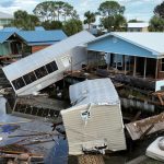 cientistas-recorrem-aos-tubaroes-para-melhorar-previsao-sobre-furacoes