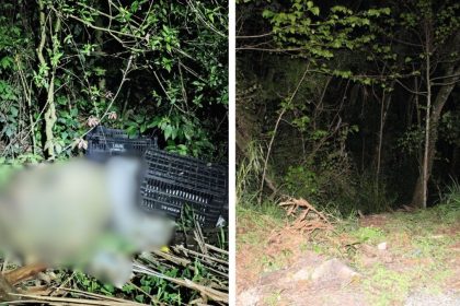 corpo-amordacado-e-com-sinais-de-violencia-e-encontrado-em-mata-e-tres-suspeitos-sao-presos-em-sc