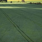 senado-aprova-plano-para-fabricacao-de-fertilizantes-no-brasil