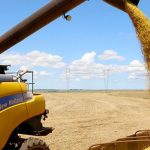 governo-lanca-plano-safra-recorde,-mas-agro-reage:-nao-tem-mais-capacidade-de-responder