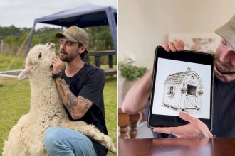 alpaca-carol-ganha-casa-propria-inspirada-no-estilo-holandes-de-tutor-em-sc:-meio-antipatica,-mas-merece