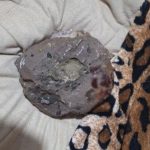 ex-invade-casa-e-agride-mulher-com-pedra-em-sc;-suspeito-foi-preso-ao-retornar-ao-local