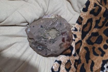 ex-invade-casa-e-agride-mulher-com-pedra-em-sc;-suspeito-foi-preso-ao-retornar-ao-local