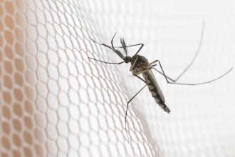 cidades-do-noroeste-de-sp-tem-maior-incidencia-de-casos-de-dengue