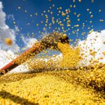 producao-agricola-brasileira-superou-r$-927-bilhoes-em-2025
