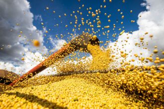 producao-agricola-brasileira-superou-r$-927-bilhoes-em-2025